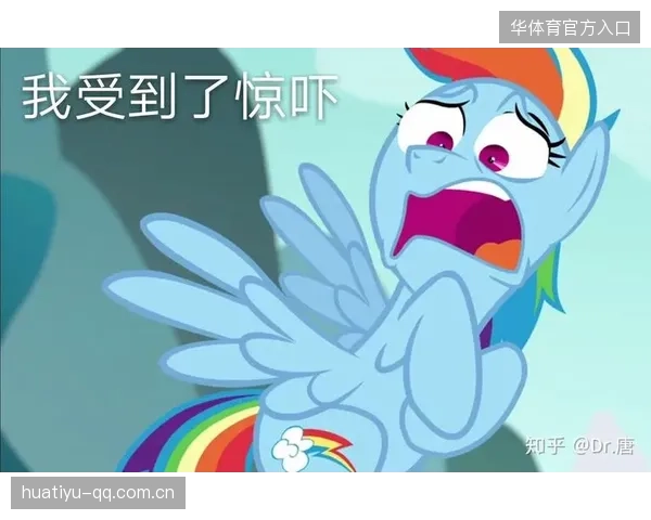 冰球震撼回合背后的表情包之争——谁将成为赛季最火爆的“表情包”？